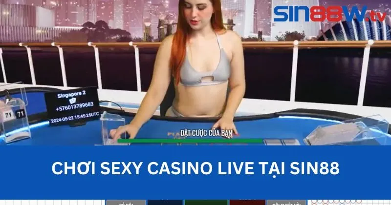 Gái Xinh Vây Quanh - Tiền Tài Rủng Rỉnh Khi Chơi Sexy Casino Live tại Sin88